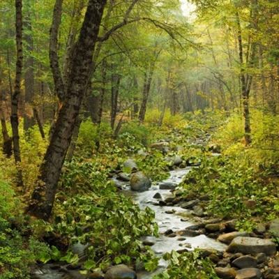 皇冠体育平台截图