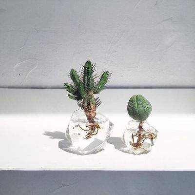 开元棋棋牌388ccvod官网版